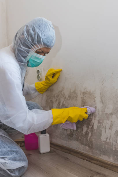 Best Forensic Mold Investigation  in Middle River, MD