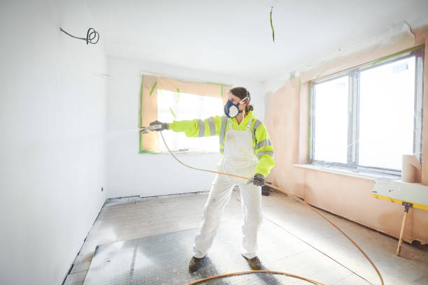 Best Attic Mold Removal  in Middle River, MD