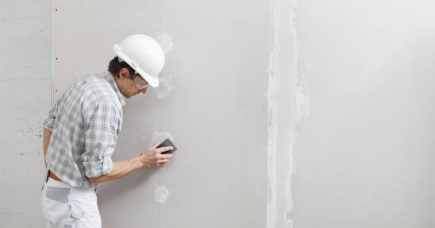 Best Post-Construction Mold Inspection  in Middle River, MD