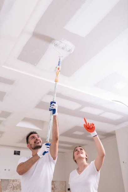  Middle River, MD Mold Removal Pros