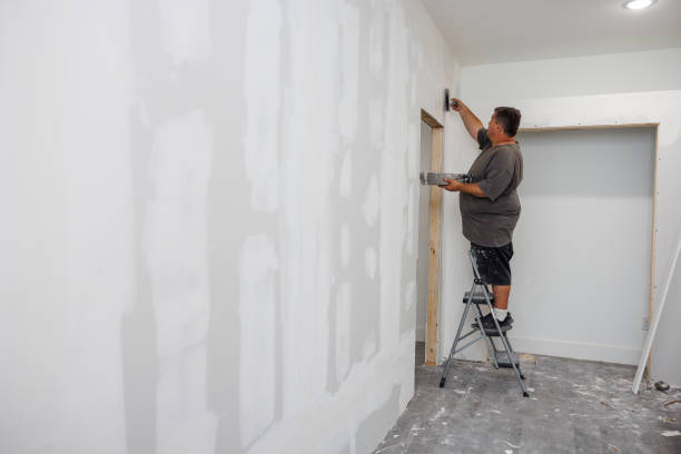 Best Mold Documentation for Insurance Claims  in Middle River, MD