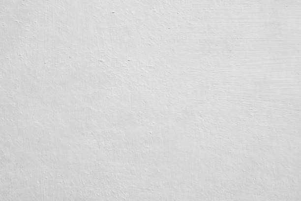 Trusted Middle River, MD Mold Removal Experts
