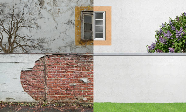 Best Black Mold Removal  in Middle River, MD