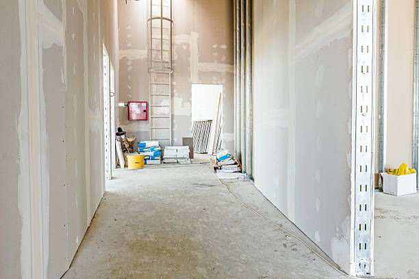 Forensic Mold Investigation in Middle River, MD